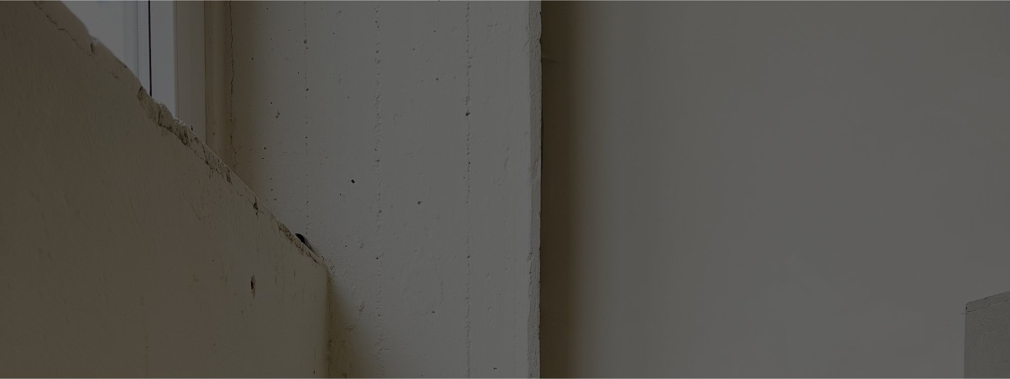 Matte Wandfarbe L'Authentique - Traumfarbe