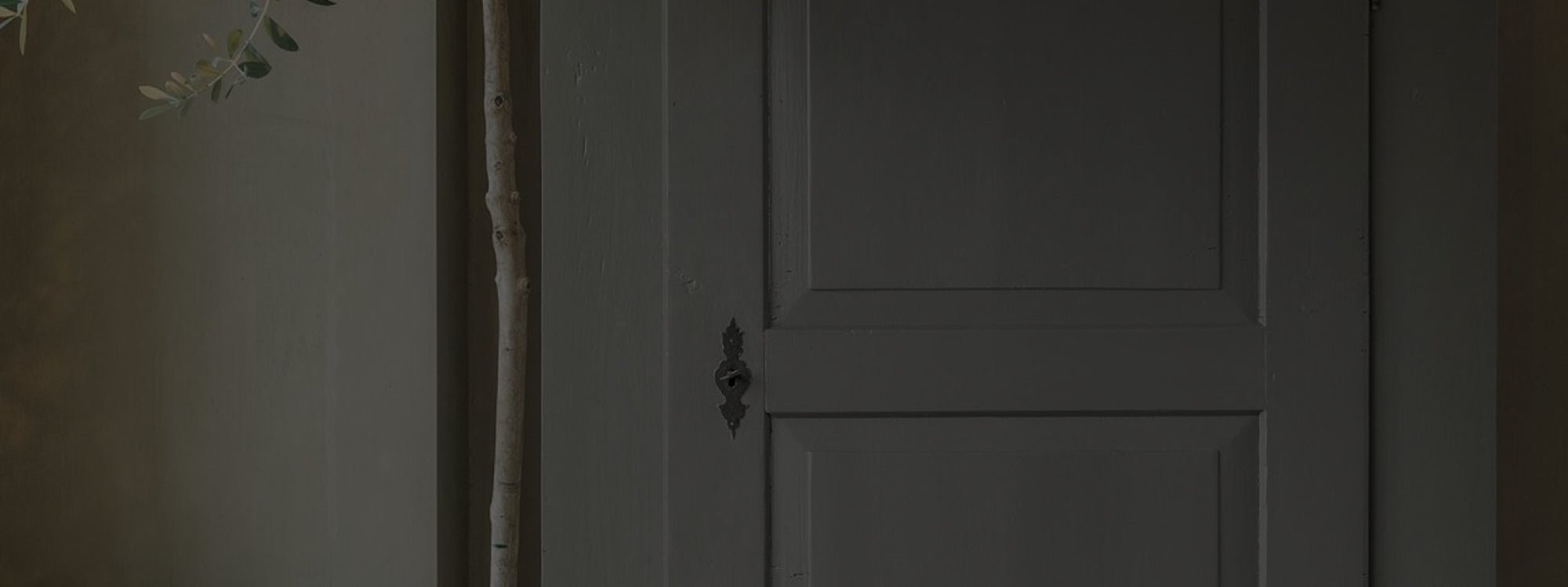 Super Cleaner Pure & Original - Traumfarbe