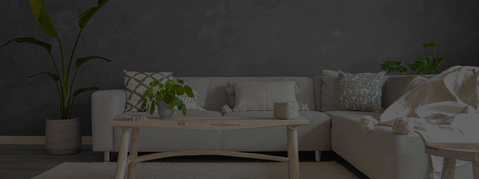 Wall Primer Pure & Original - Traumfarbe