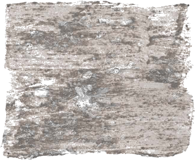 130. Zandsteen Wallprimer Farbe im Beton - Look L'Authentique - Traumfarbe