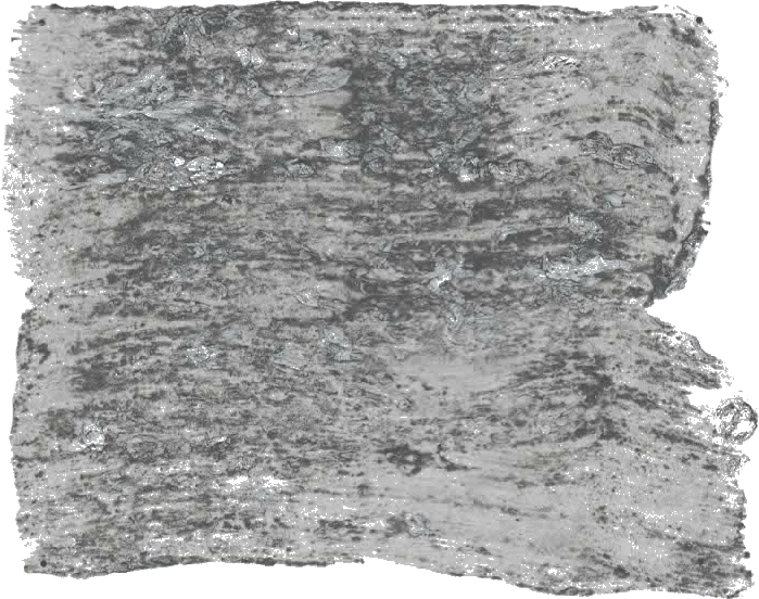 131. Graniet Farbe im Beton - Look L'Authentique - Traumfarbe