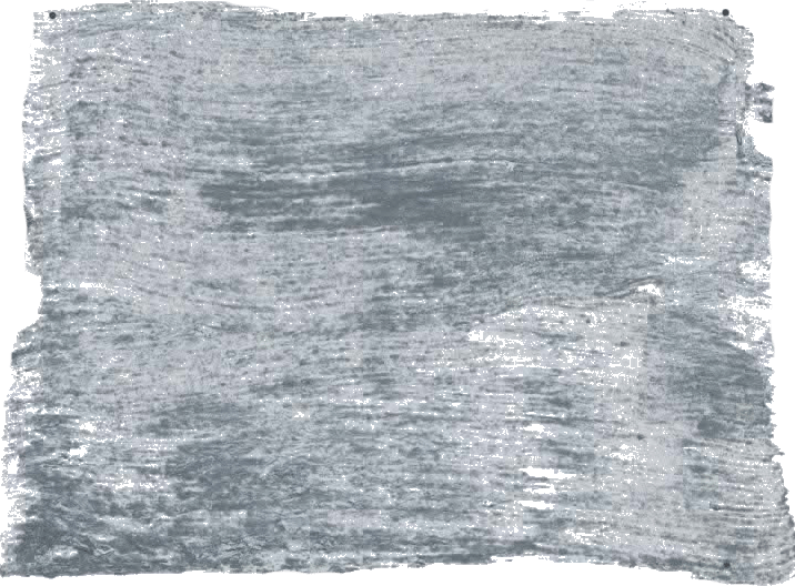 136. Blauwsteen Wallprimer Farbe im Beton - Look L'Authentique - Traumfarbe