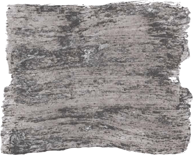 139. Basalt Wallprimer Farbe im Beton - Look L'Authentique - Traumfarbe