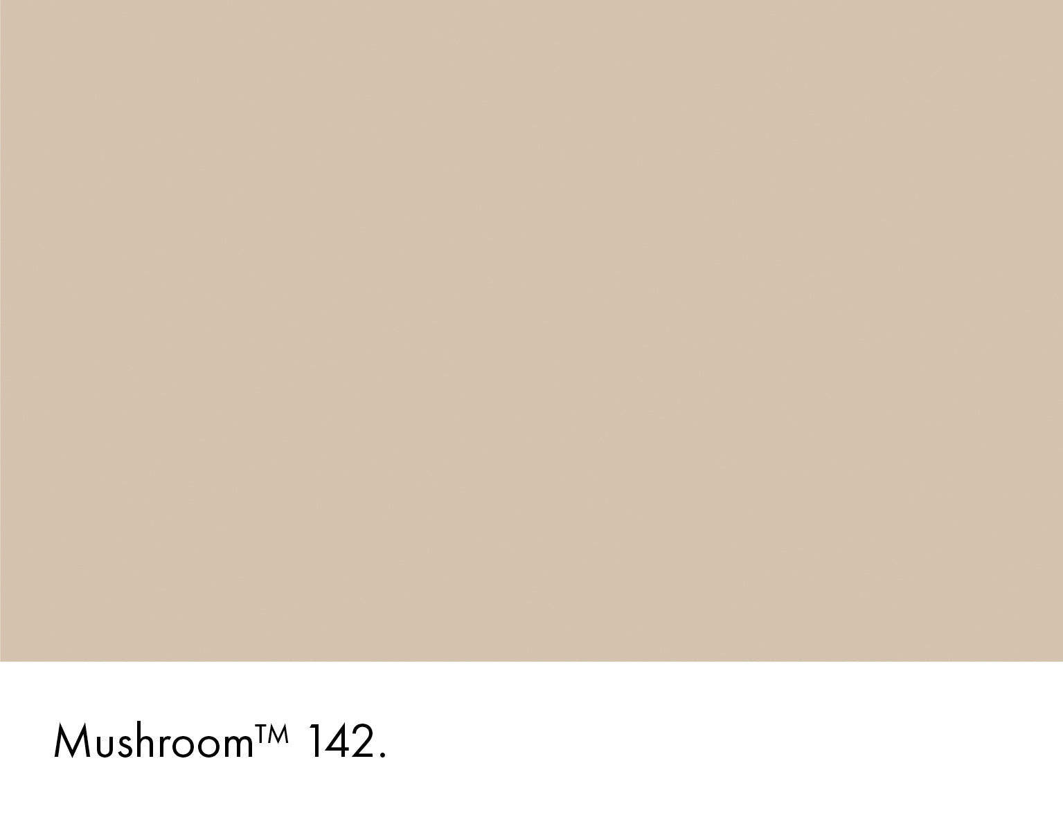 Mushroom Limewash Little Greene
