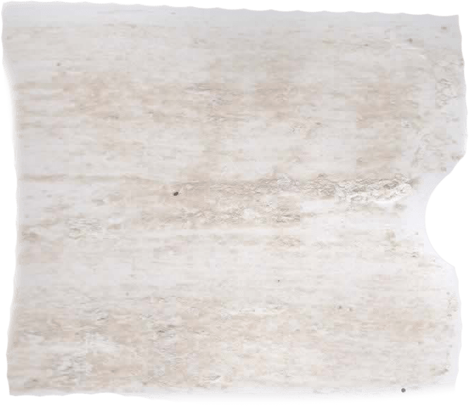 177. Off - white Wallprimer Farbe im Beton - Look L'Authentique - Traumfarbe