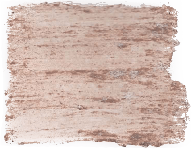 178. Instinct Wallprimer Farbe im Beton - Look L'Authentique - Traumfarbe