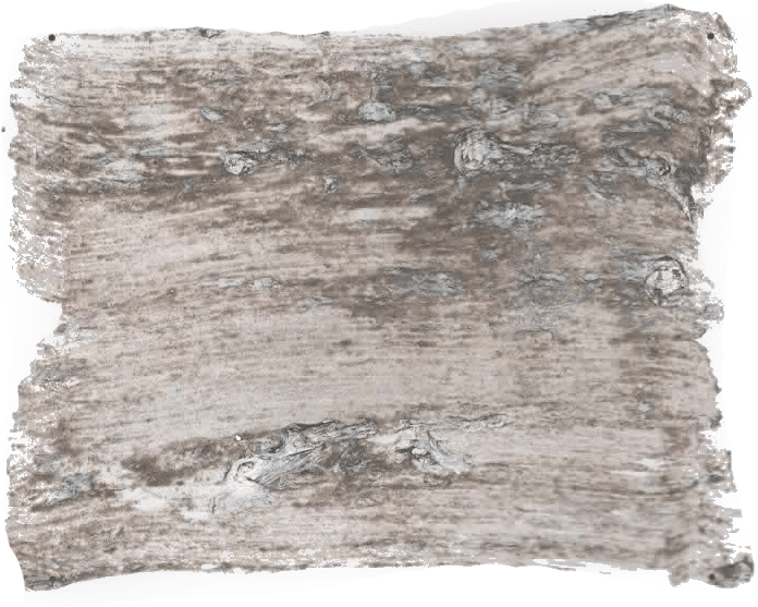 180. Rustic Wallprimer Farbe im Beton - Look L'Authentique - Traumfarbe