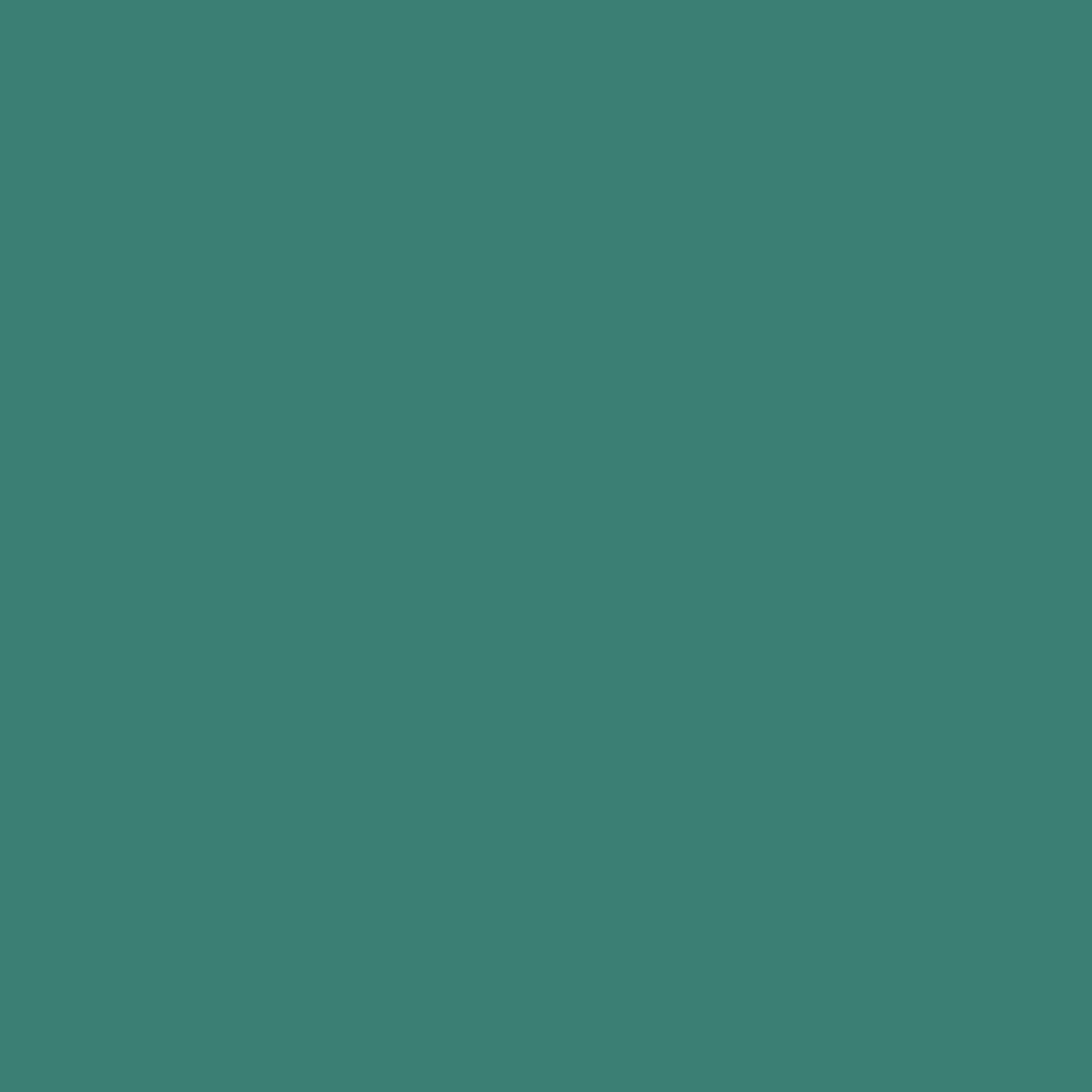 236 Peacock Wall & Wood Satin Flamant - Traumfarbe