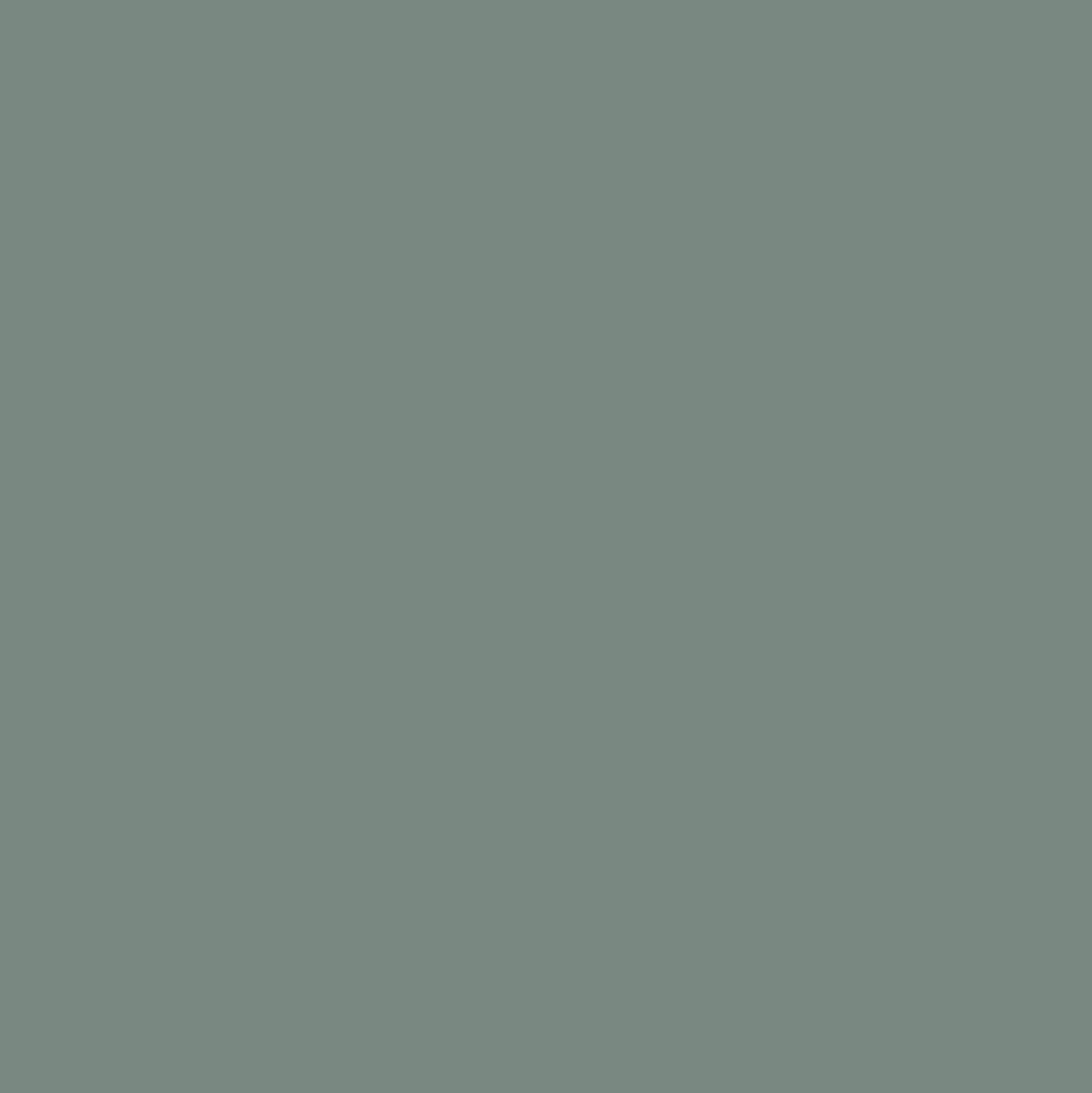 258 Vert DO Wall & Wood Satin Flamant - Traumfarbe