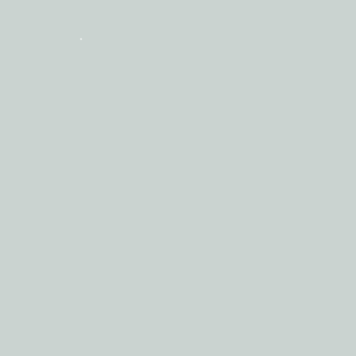 26. Schittering Matte Wandfarbe L'Authentique - Traumfarbe