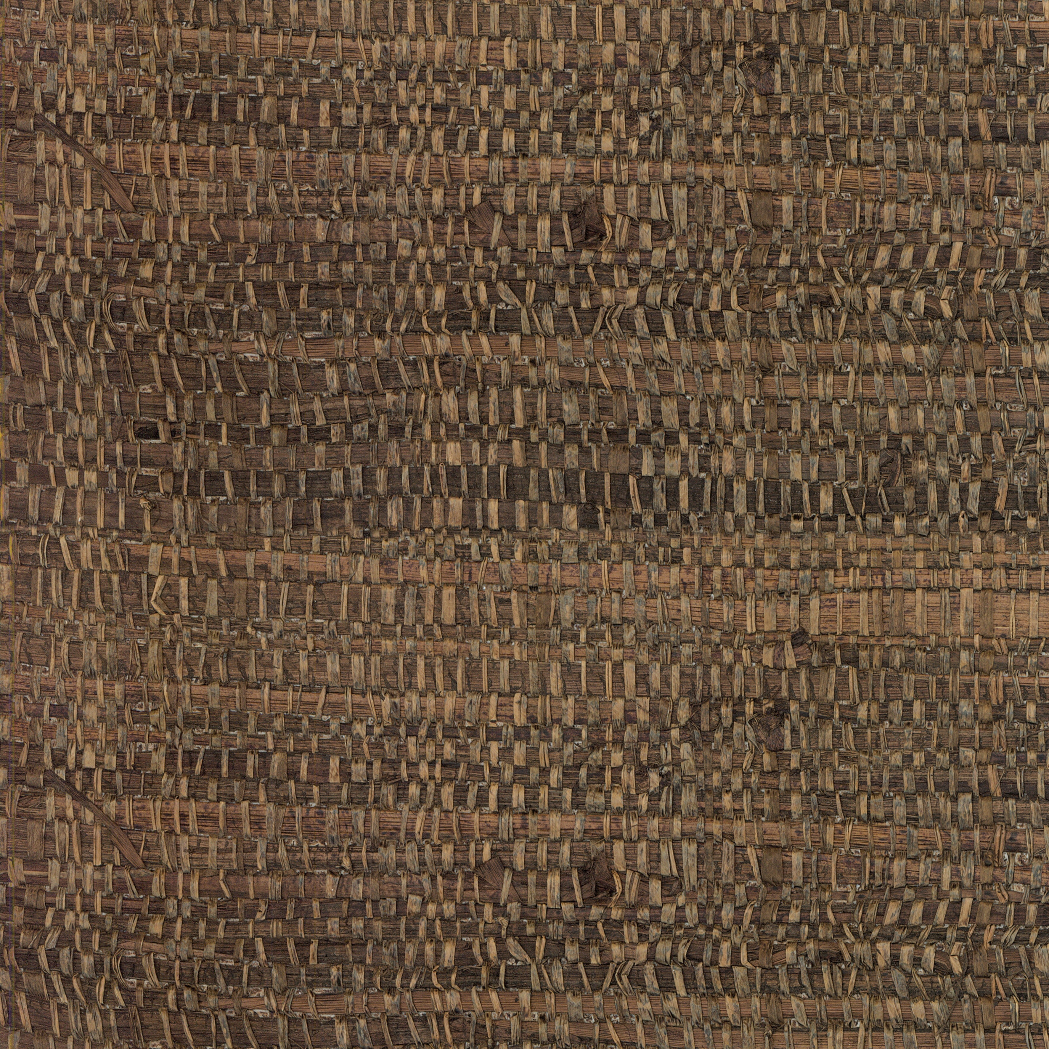 40743 Tana Melaky Arte - Traumfarbe