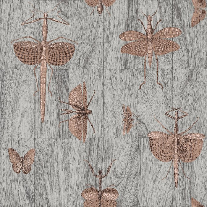 42000 Wings Ligna Arte - Traumfarbe