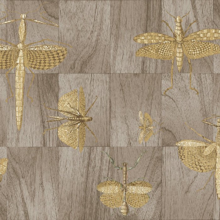 42002 Wings Ligna Arte - Traumfarbe