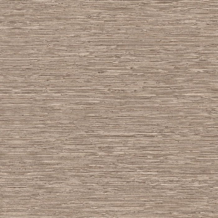 73527 Matiz Pampas Arte - Traumfarbe