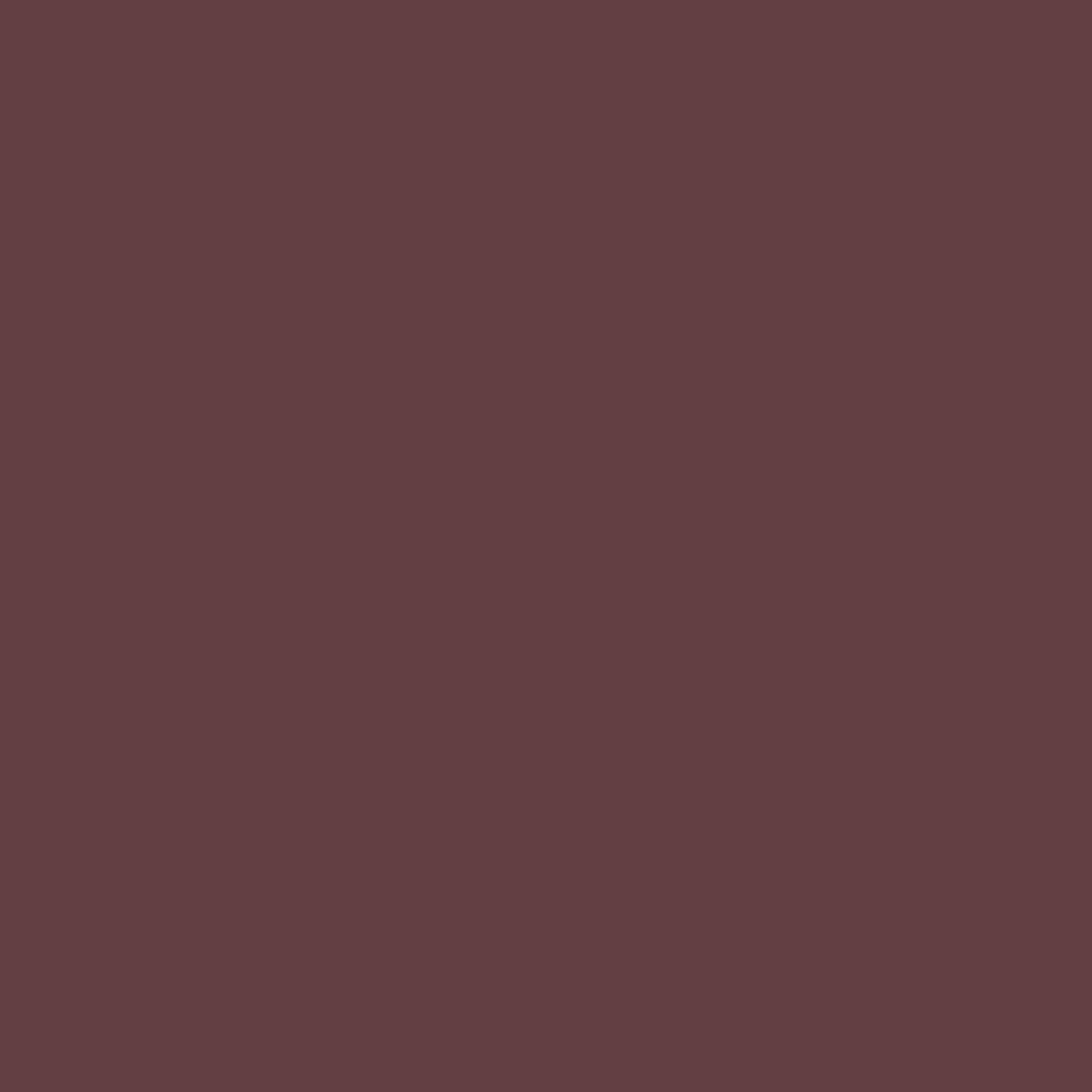 SE304 Grand Cry Wall Primer Flamant - Traumfarbe