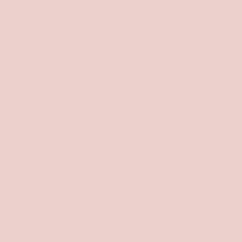 10.001 Old Rose Kreidefarbe Mia Colore - Traumfarbe