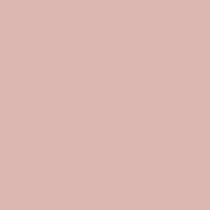 103. Ballerina Kahle Farbe L'Authentique - Traumfarbe