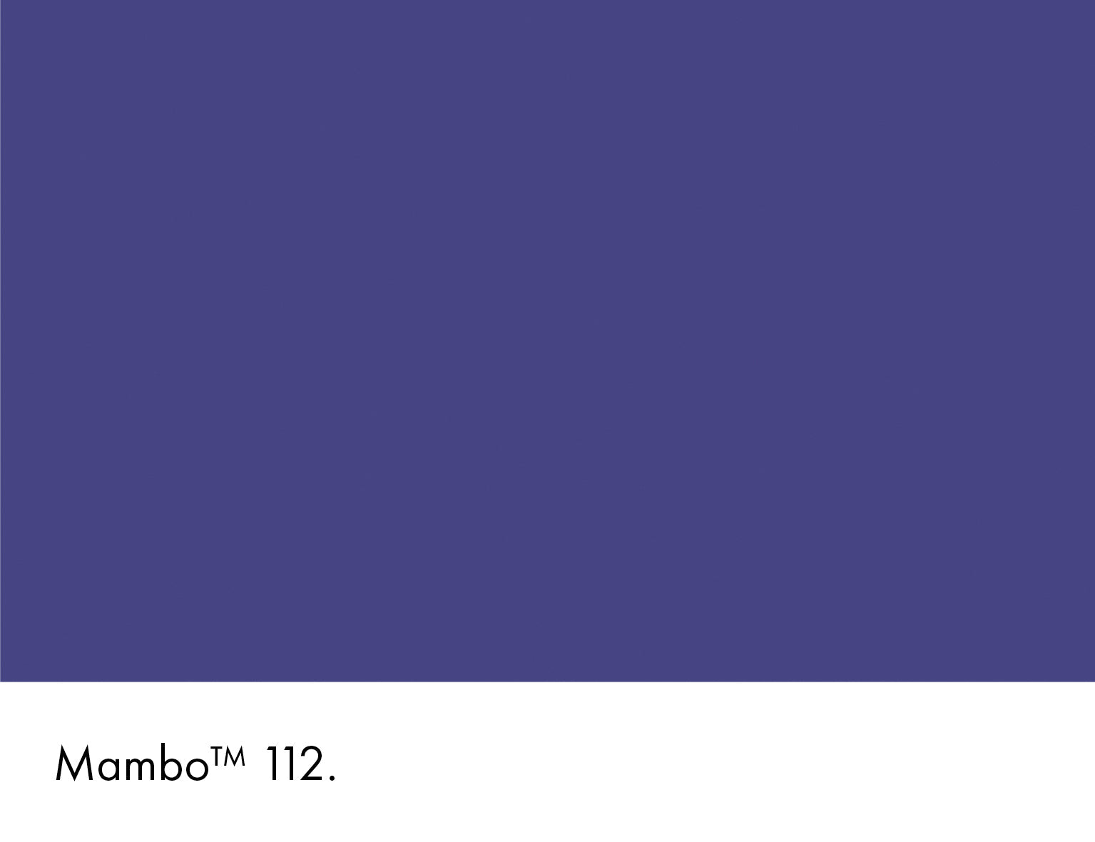Mambo Intelligent ASP (All Surface Primer) Little Greene