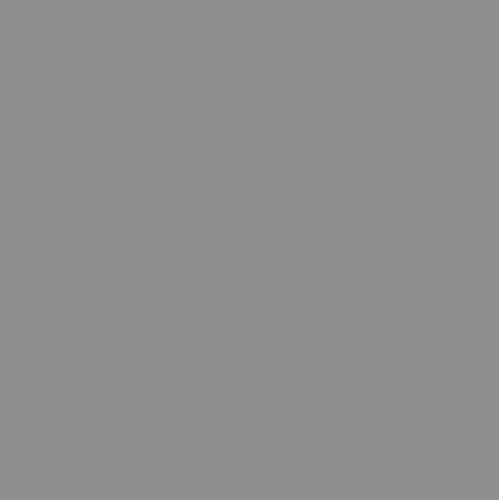 115. Olifant Matte Wandfarbe L'Authentique - Traumfarbe