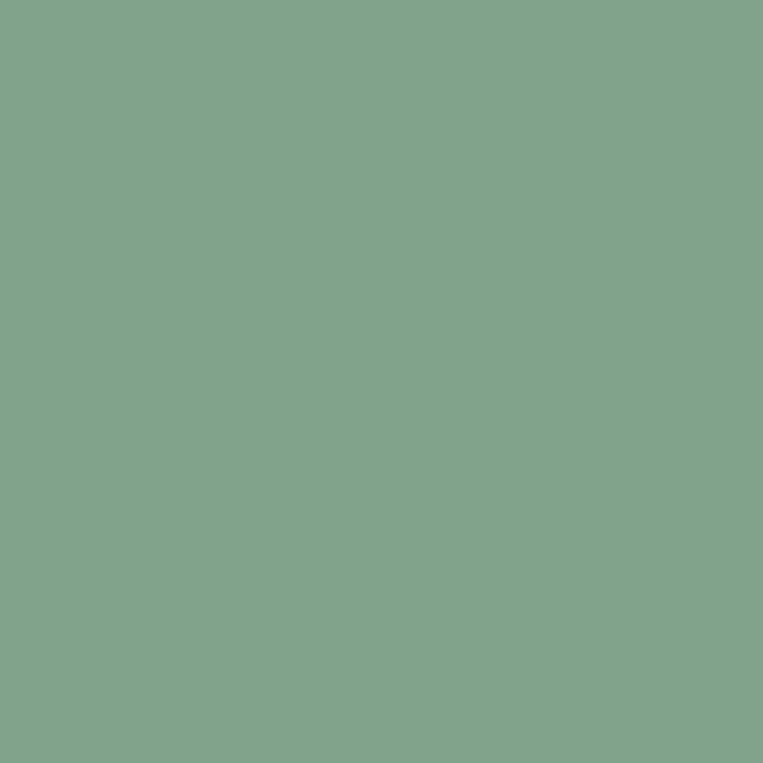 117. Cactus Kahle Farbe L'Authentique - Traumfarbe