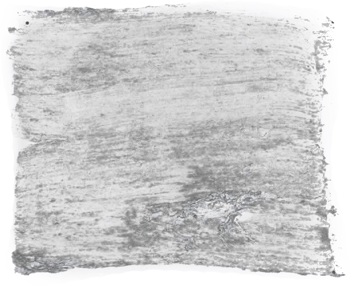 129. Kiezel Farbe im Beton - Look L'Authentique - Traumfarbe