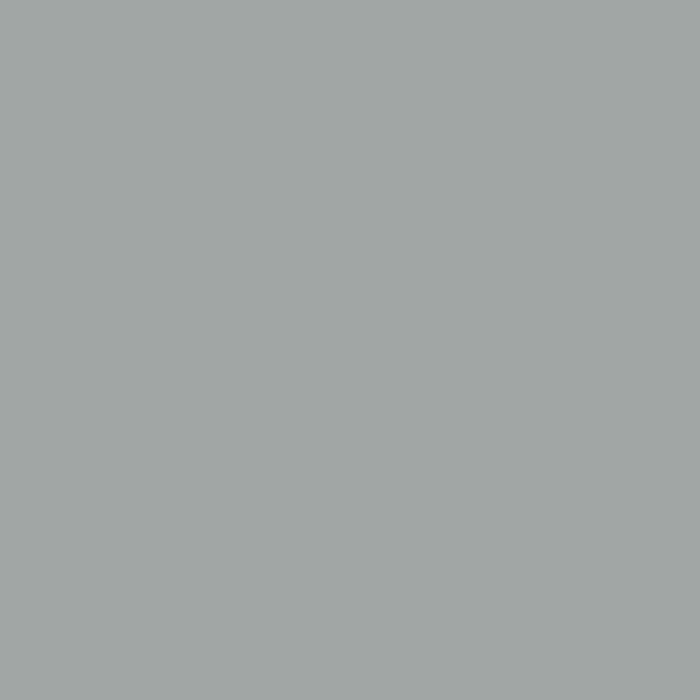 13. Salie Matte Wandfarbe L'Authentique - Traumfarbe