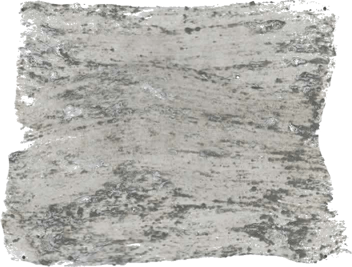 134. Army Farbe im Beton - Look L'Authentique - Traumfarbe