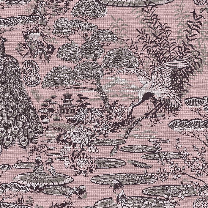 13501 Lotus Curiosa Arte - Traumfarbe
