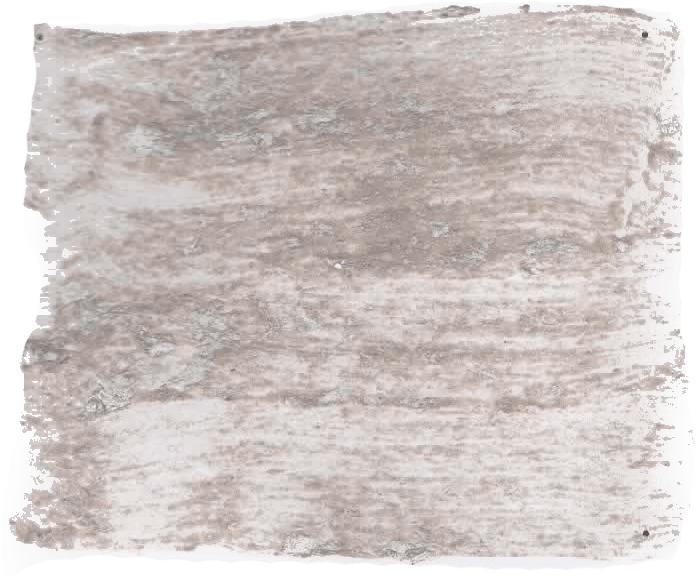 138. Beige Farbe im Beton - Look L'Authentique - Traumfarbe
