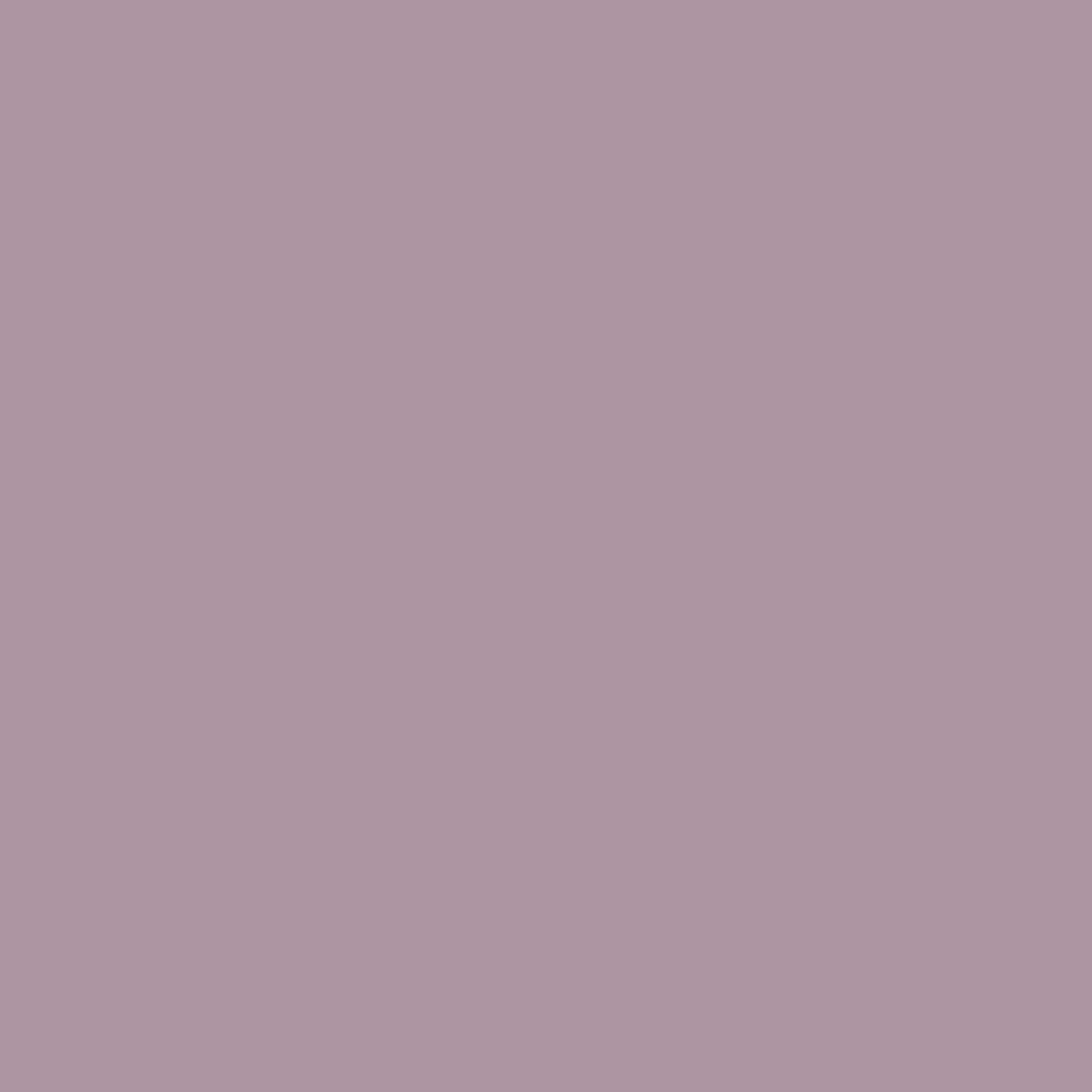 158 Clic Clac Wall Primer Flamant - Traumfarbe