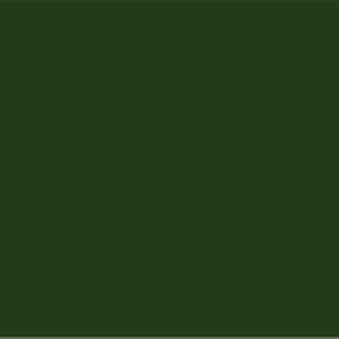 173 Bottle Green Lak Matt Flamant - Traumfarbe