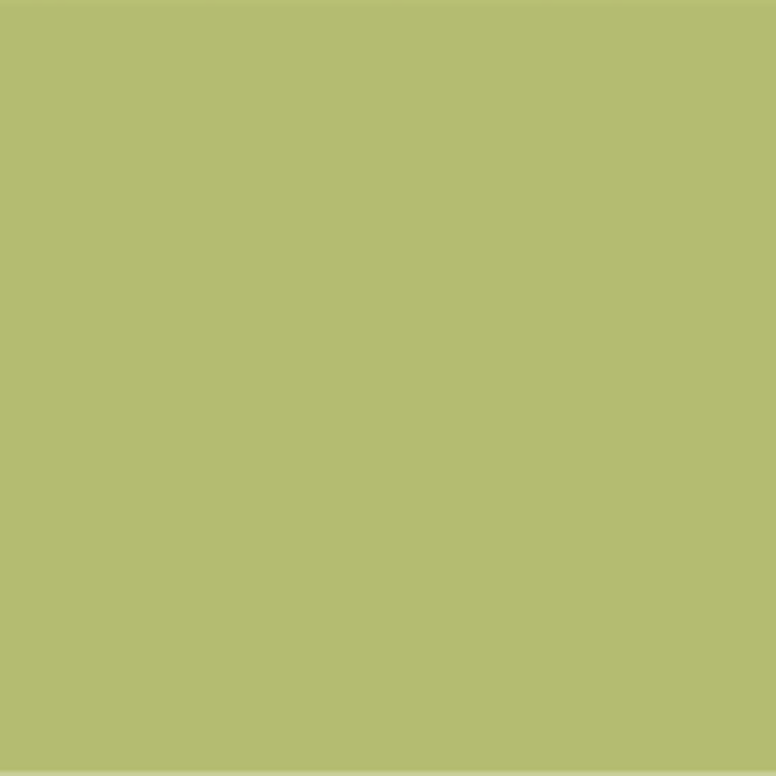 179 Bambou Wall Primer Flamant - Traumfarbe