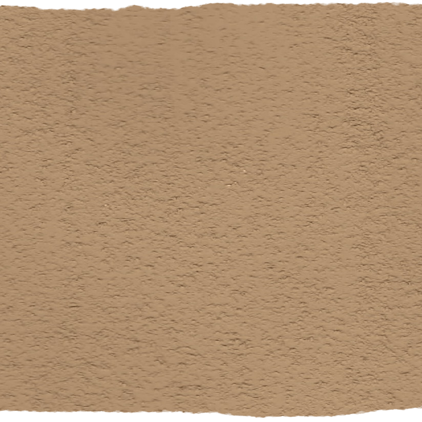 185. Plaster Terra Walls L'Authentique - Traumfarbe