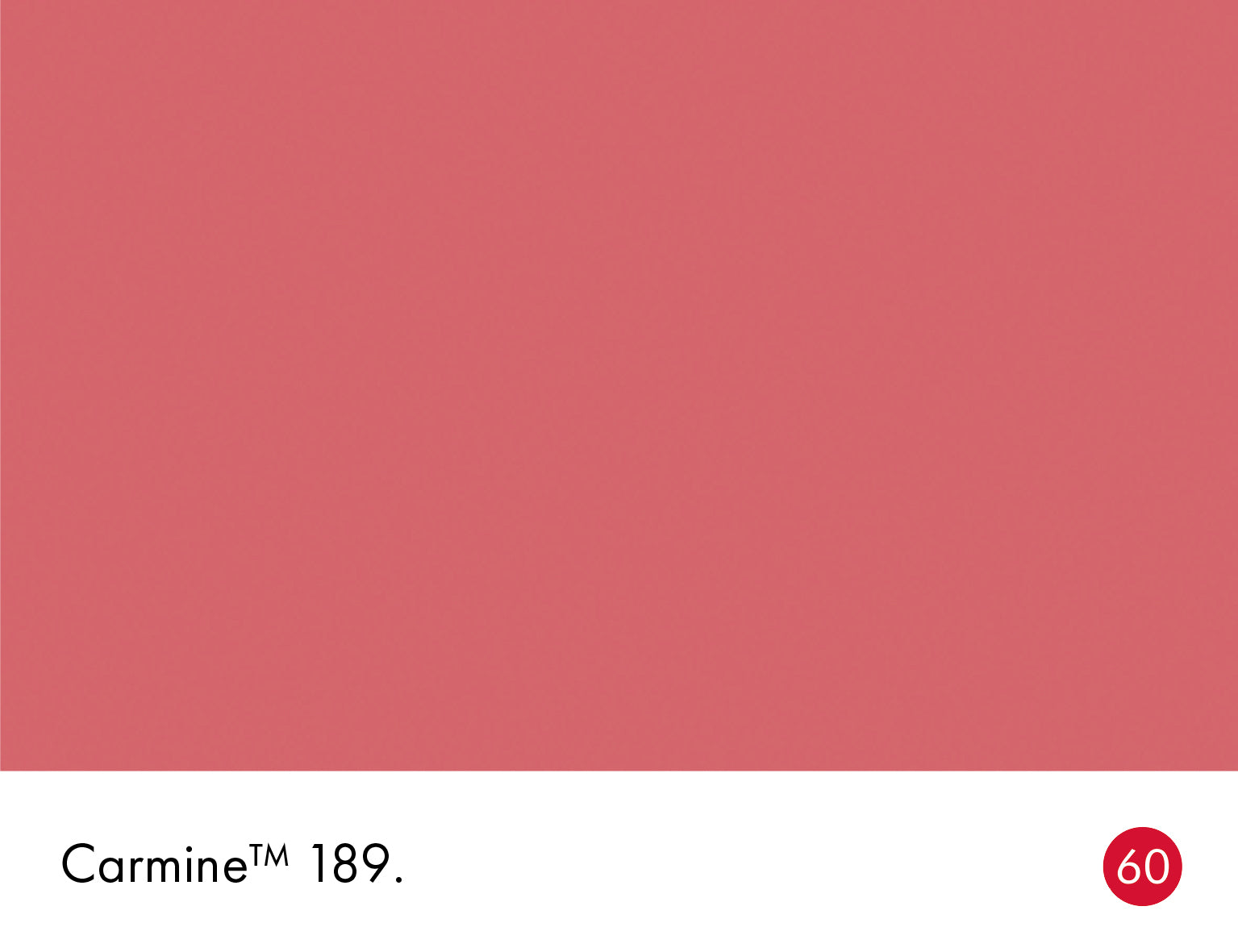 Carmine Wall Primer Sealer Little Greene