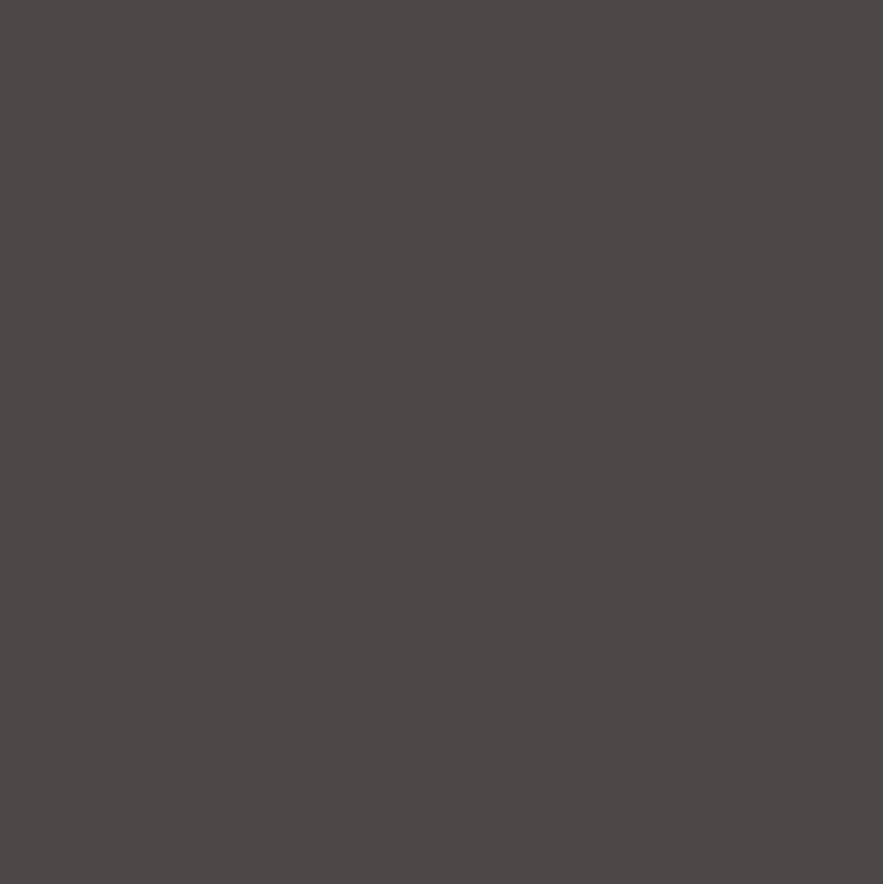 190 Noir de Lune Wall & Wood Satin Flamant - Traumfarbe