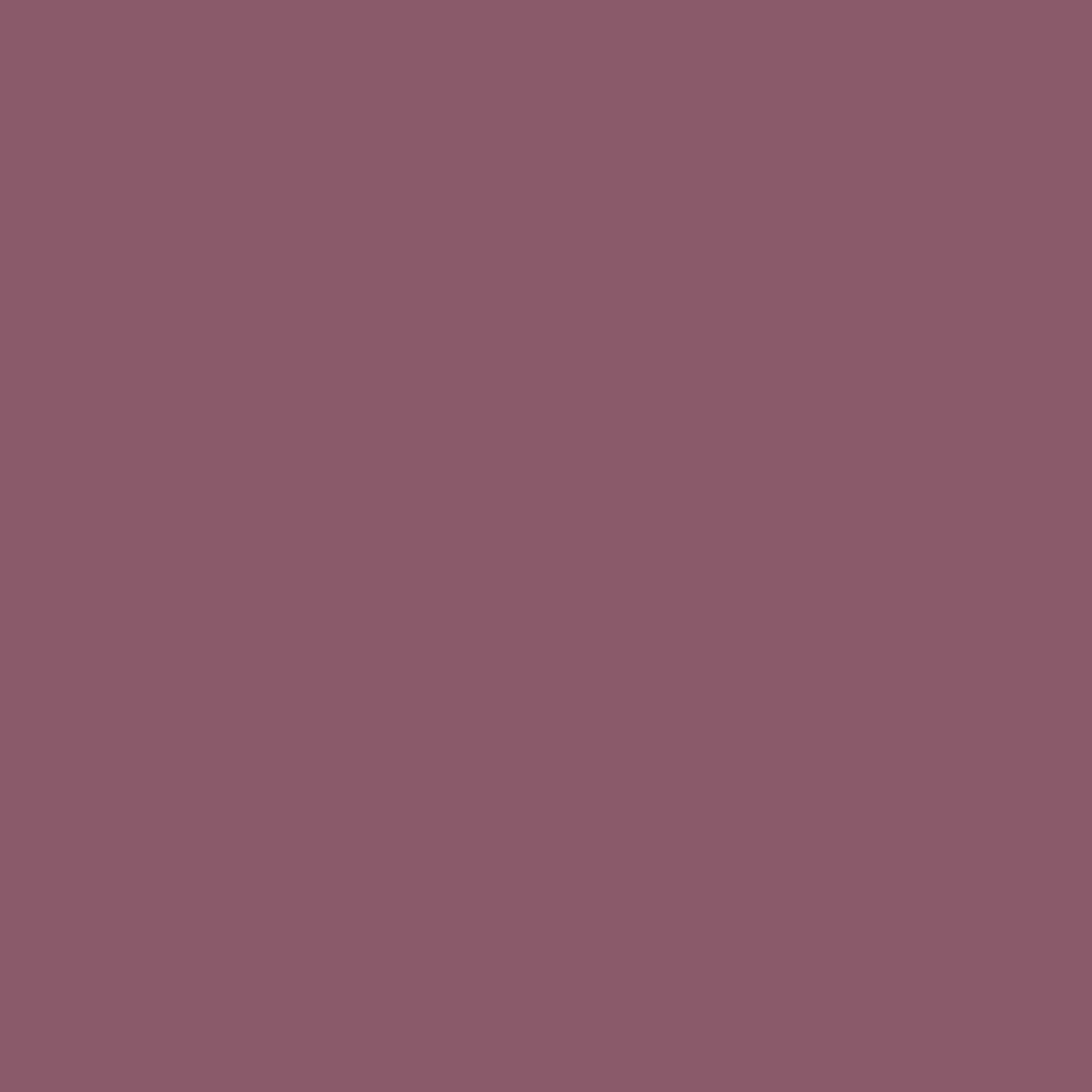 194 Fragole Wall Primer Flamant - Traumfarbe