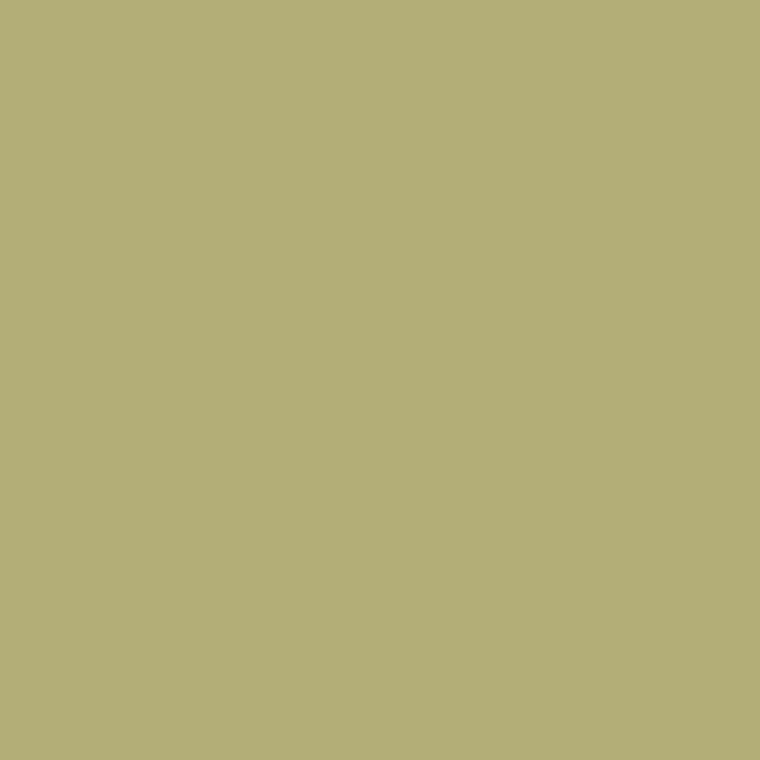 201. Sandelwood Kahle Farbe L'Authentique - Traumfarbe