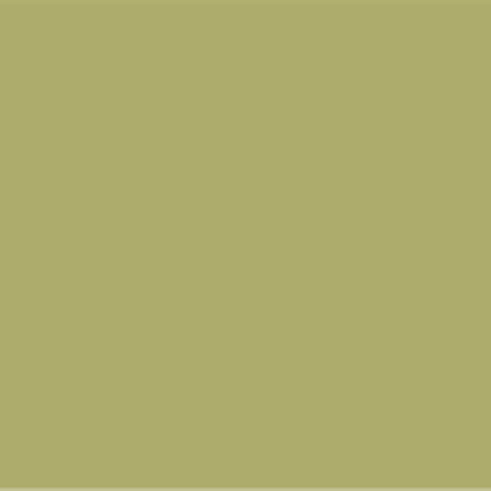 202 Pesto Wall Primer Flamant - Traumfarbe
