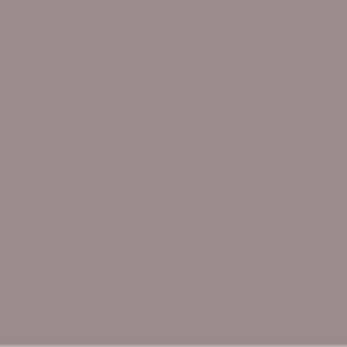 205 Muscade Wall Primer Flamant - Traumfarbe