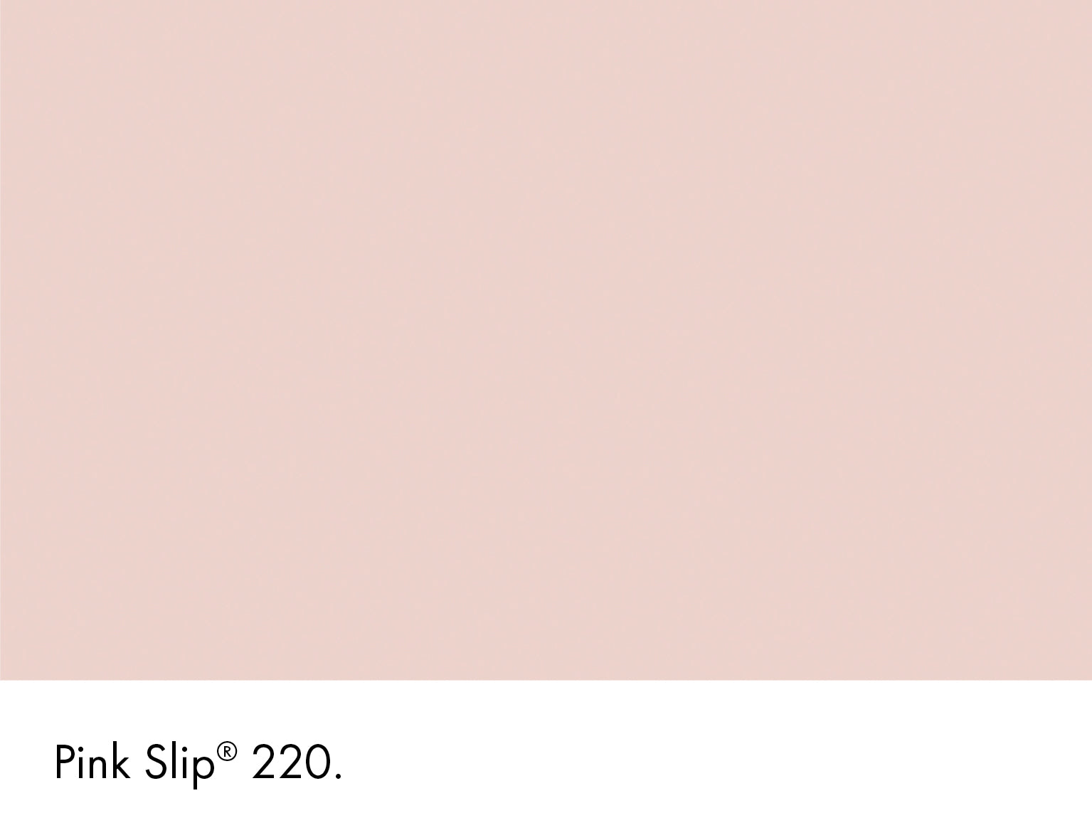 Pink SlipWall Primer Sealer Little Greene