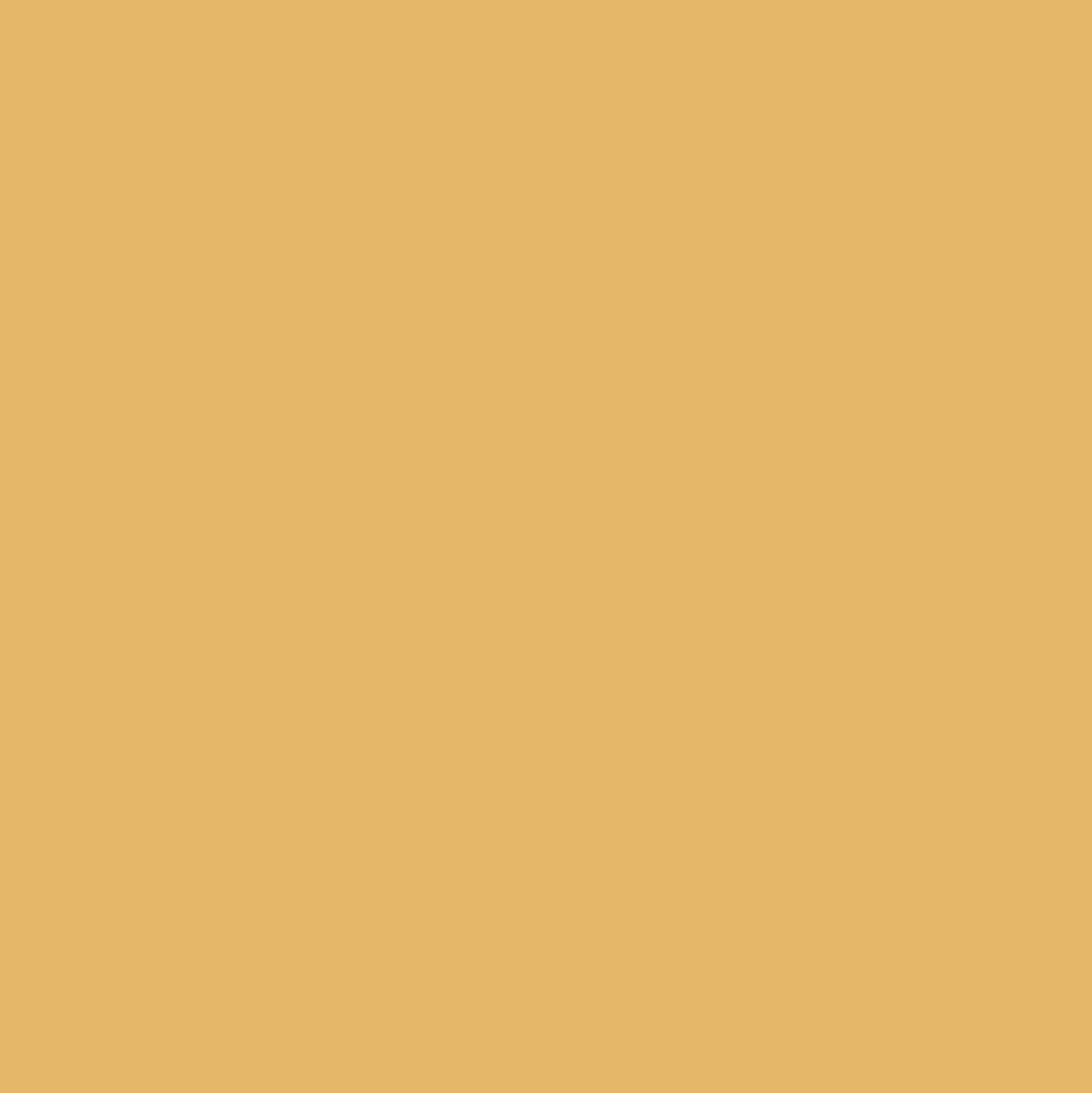 223 Sunshine Lak Matt Flamant - Traumfarbe