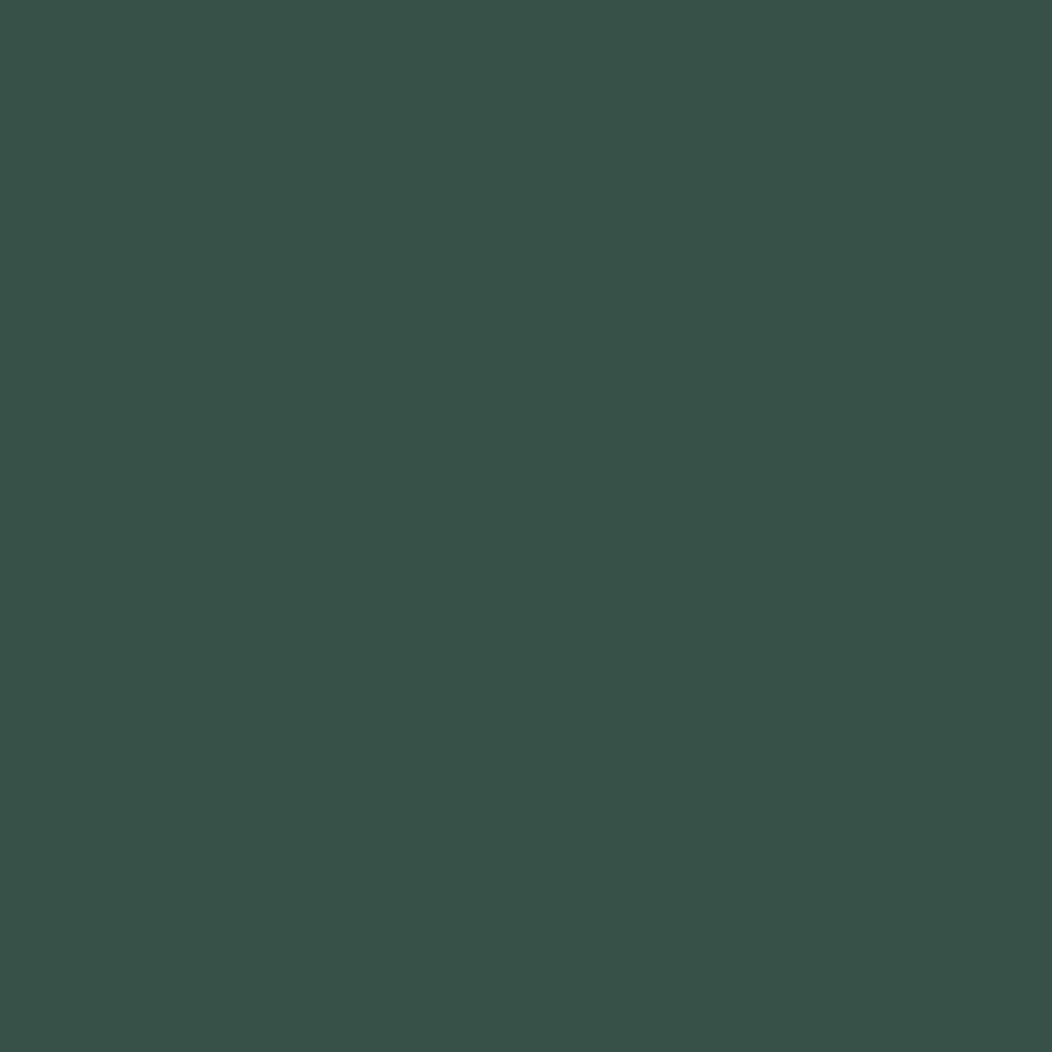 230 Forest Wall Primer Flamant - Traumfarbe