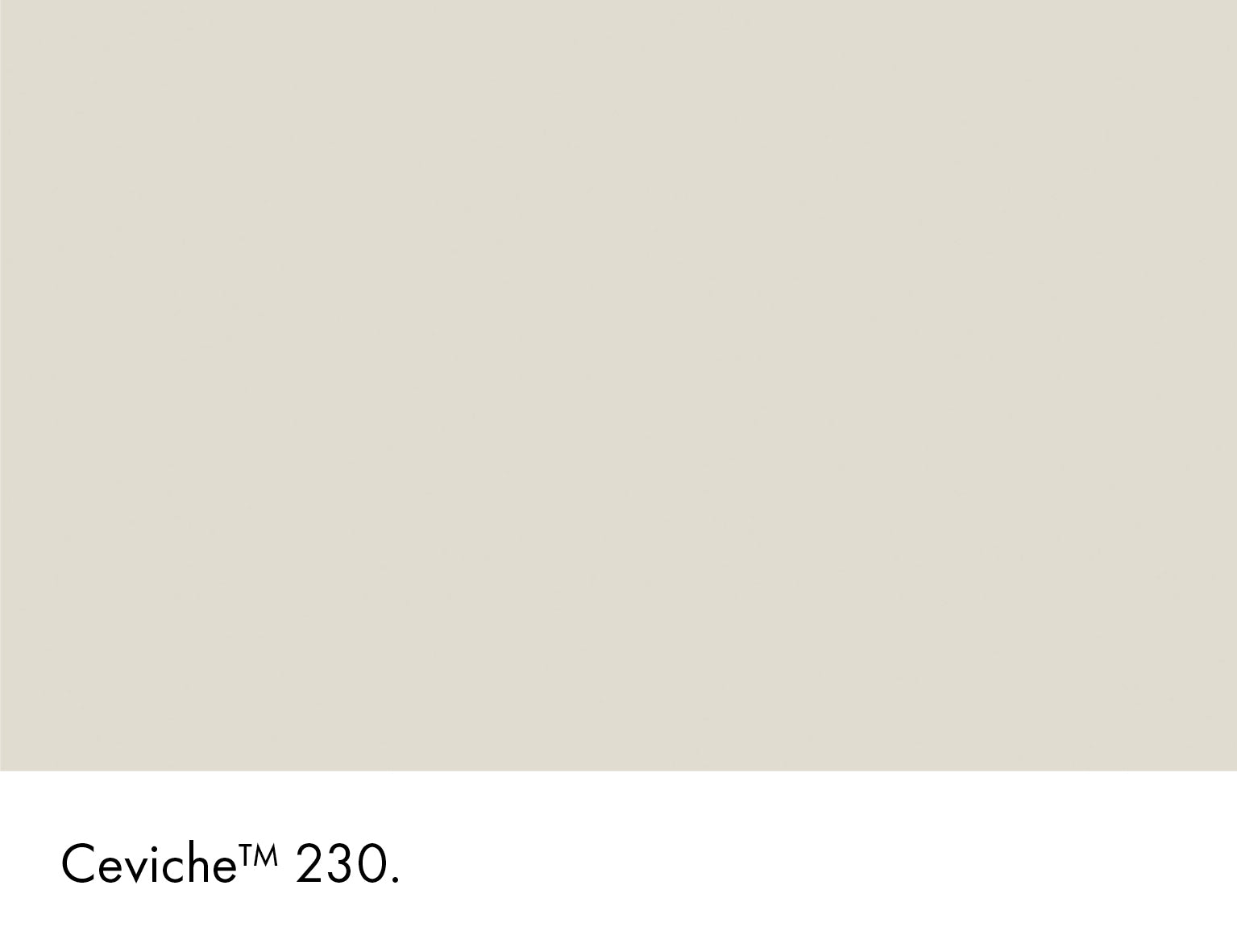 Ceviche Wall Primer Sealer Little Greene