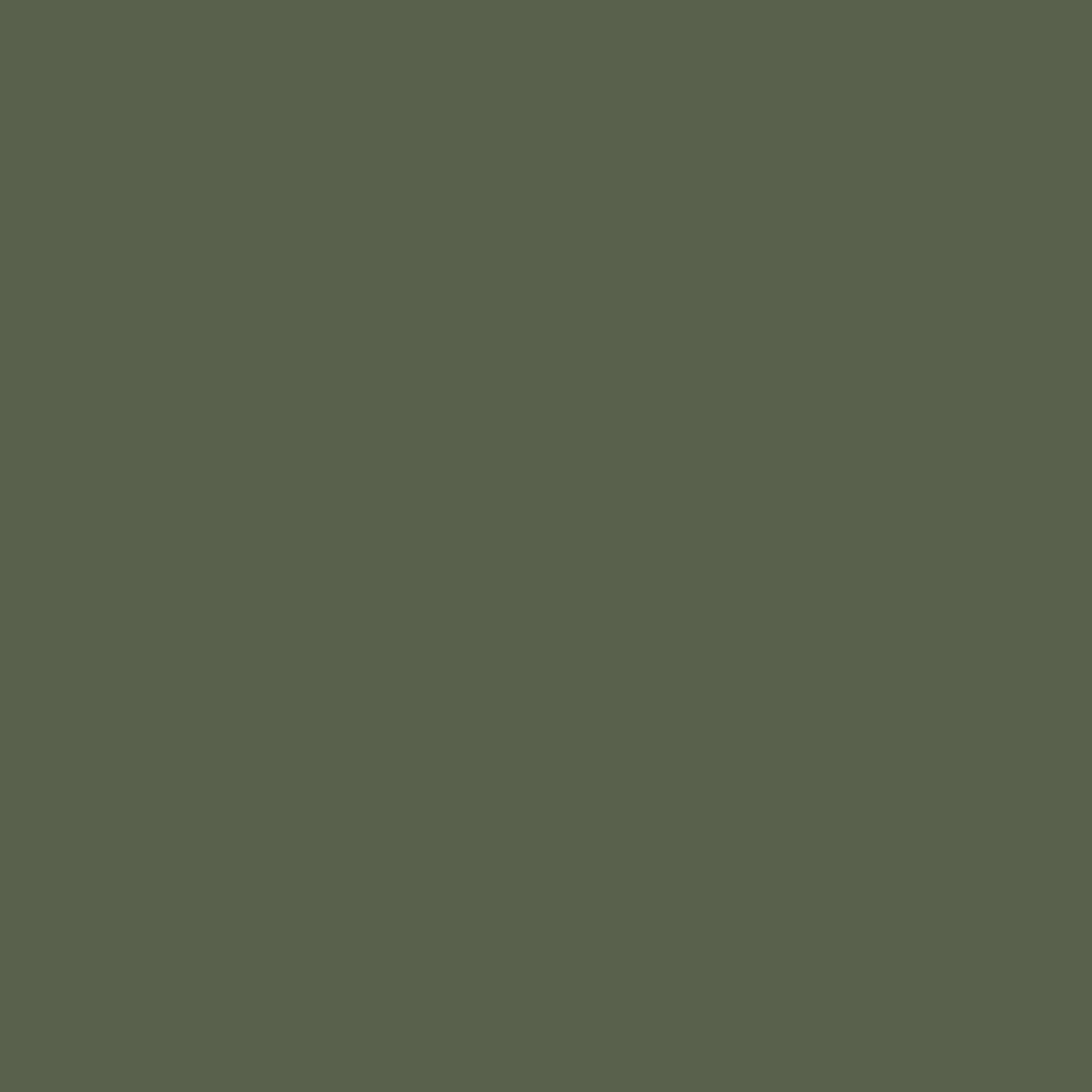 231 Trekking Lak Matt Flamant - Traumfarbe