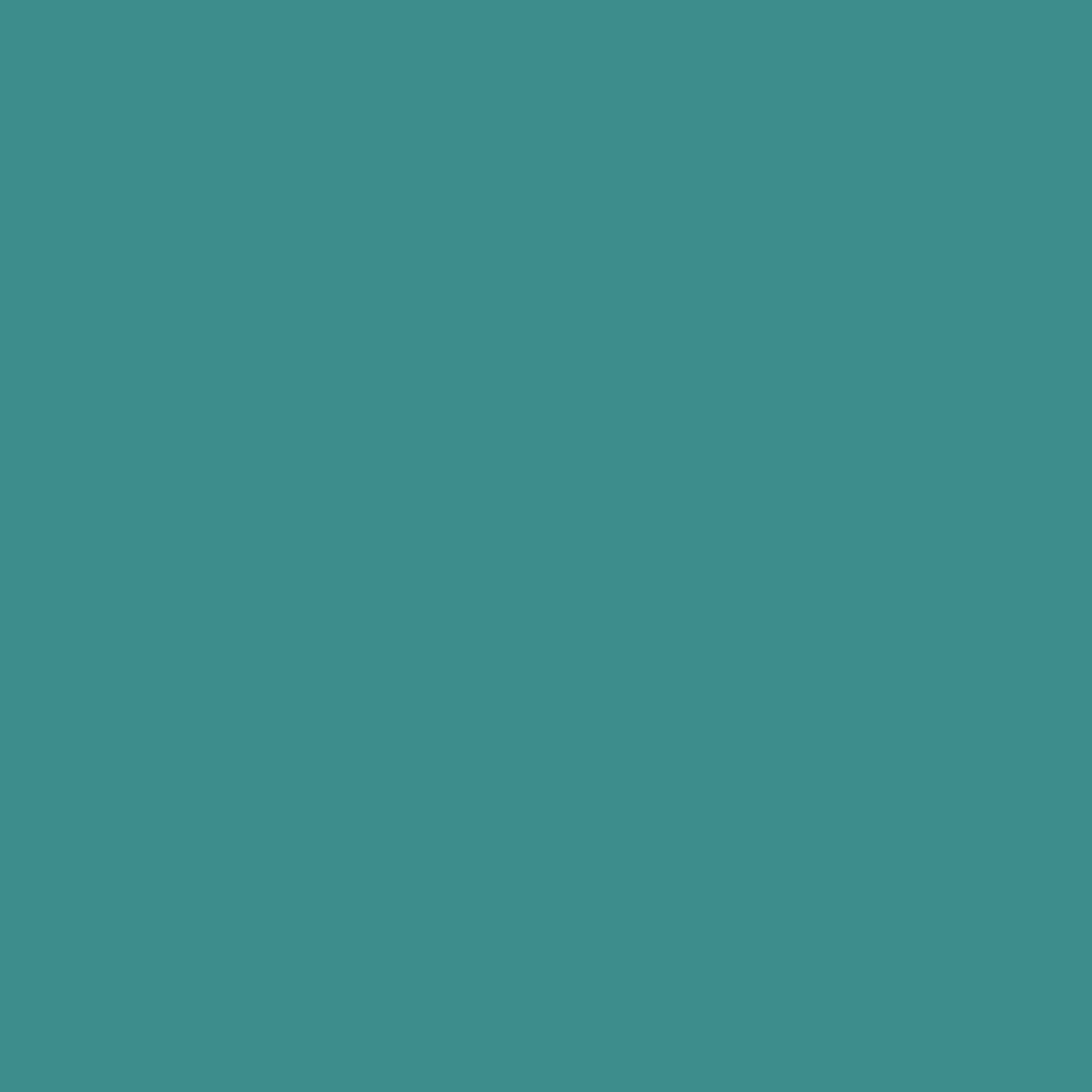 235 Curacao Wall Primer Flamant - Traumfarbe