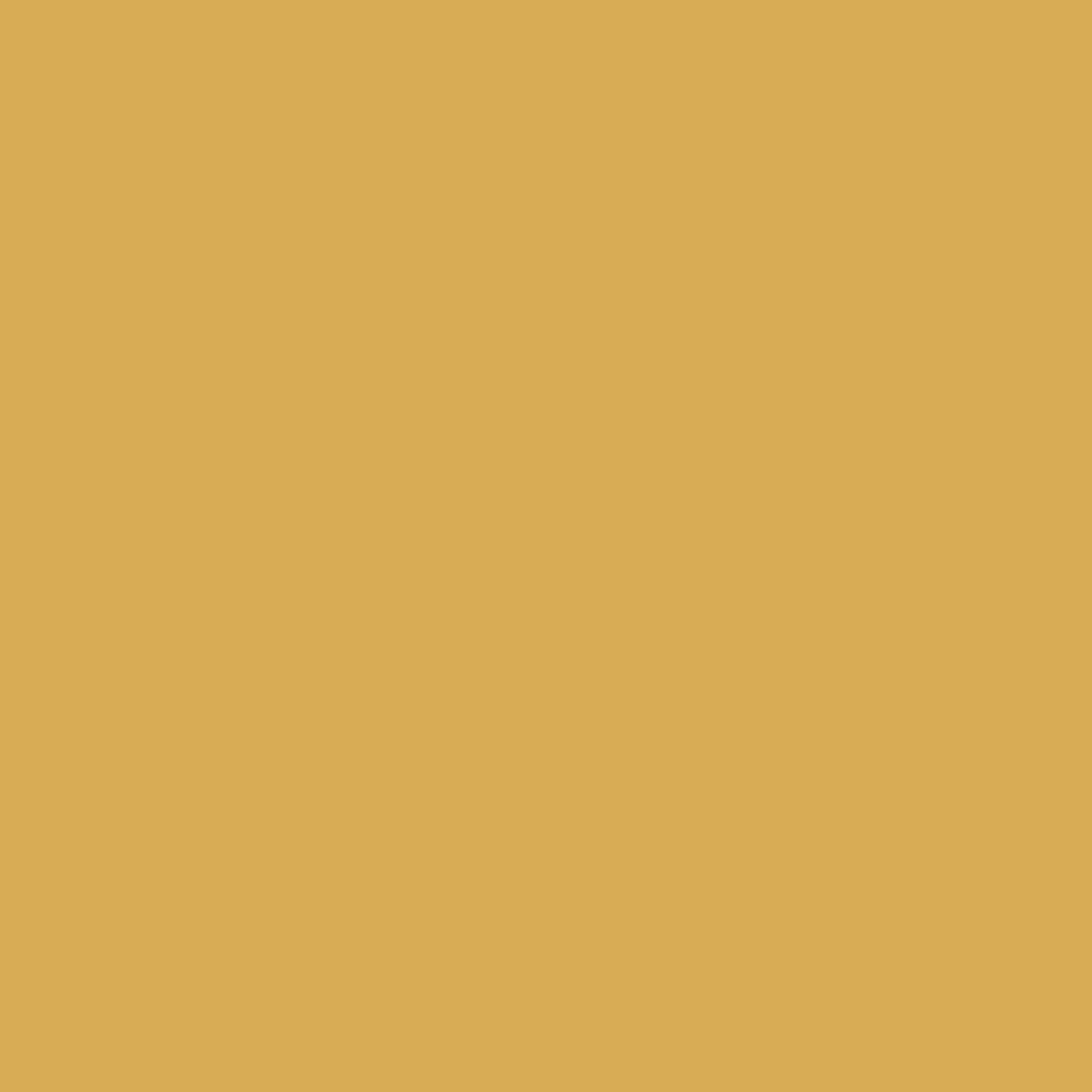 244 Bikini Wall Primer Flamant - Traumfarbe