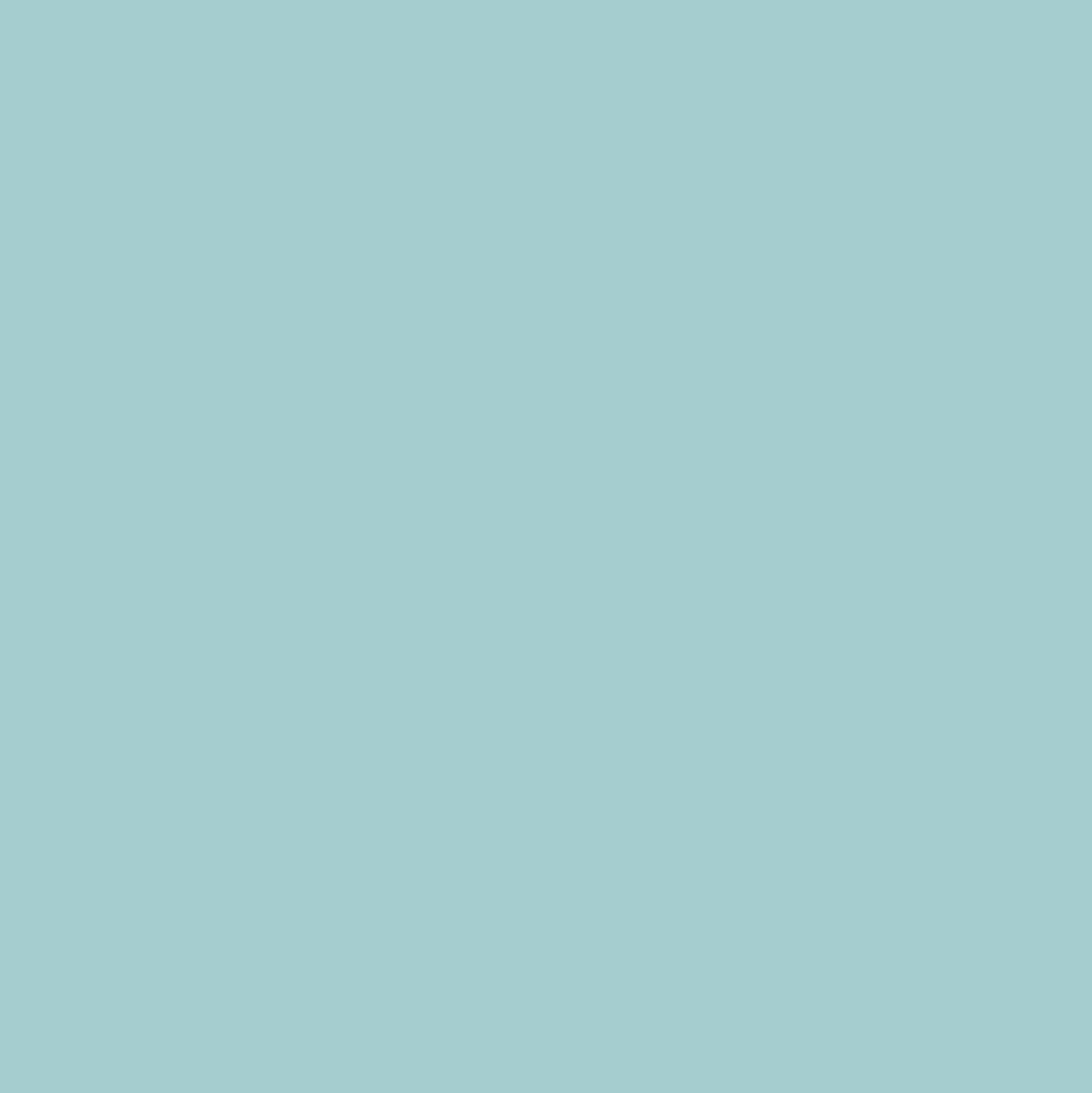 250 Paradiso Wall Primer Flamant - Traumfarbe