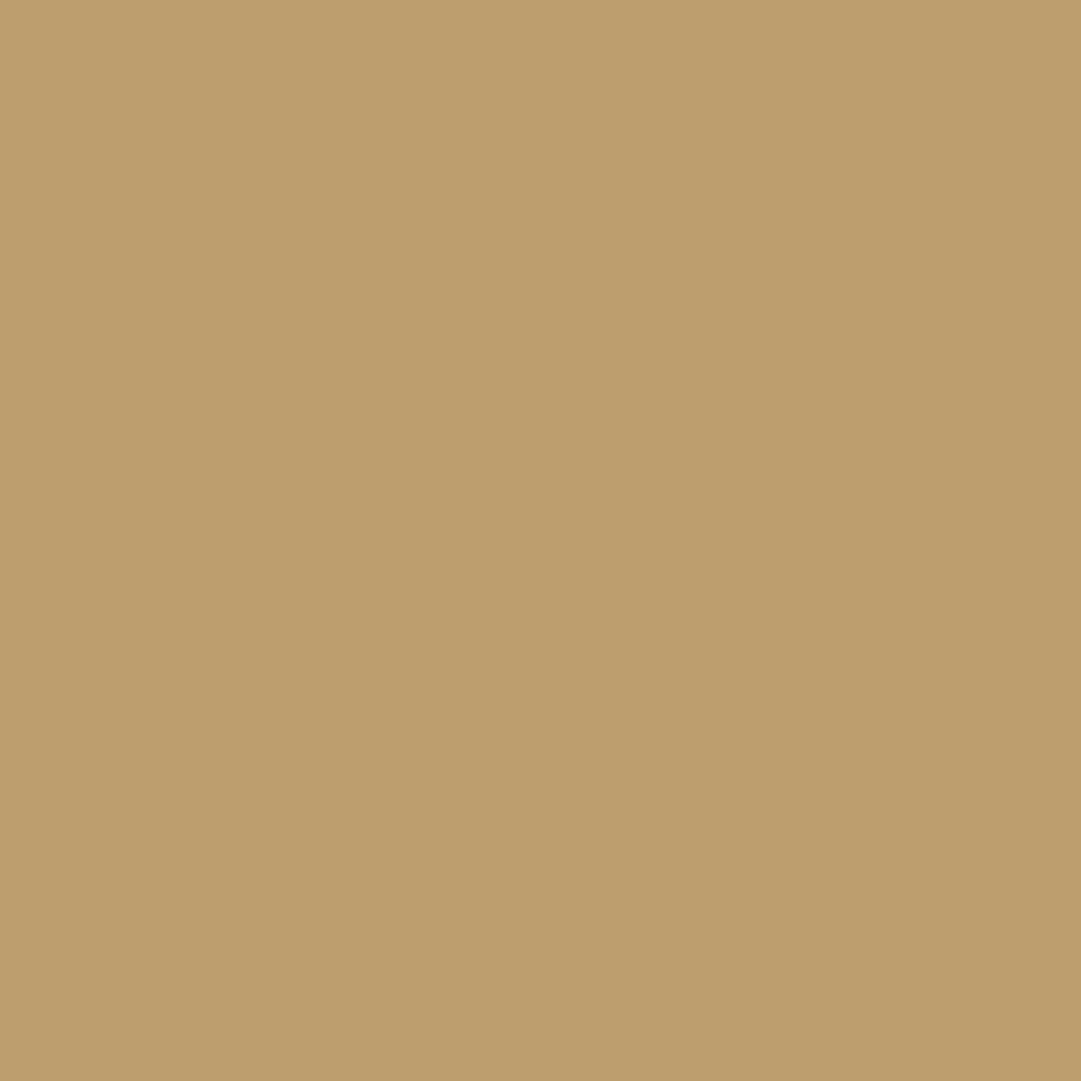 260 Teddy - Bear Wall Primer Flamant - Traumfarbe