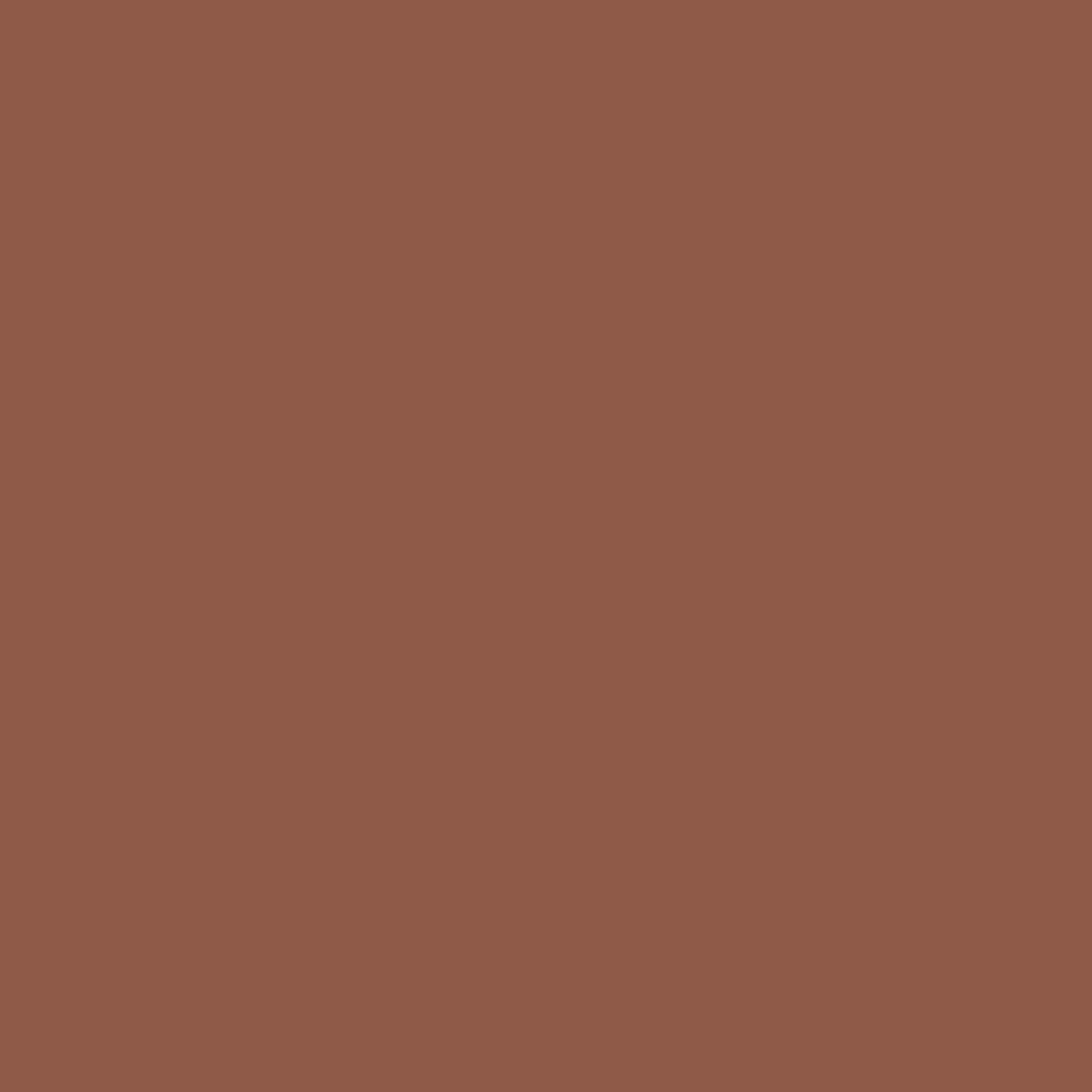 264 Vallauris Wall Primer Flamant - Traumfarbe