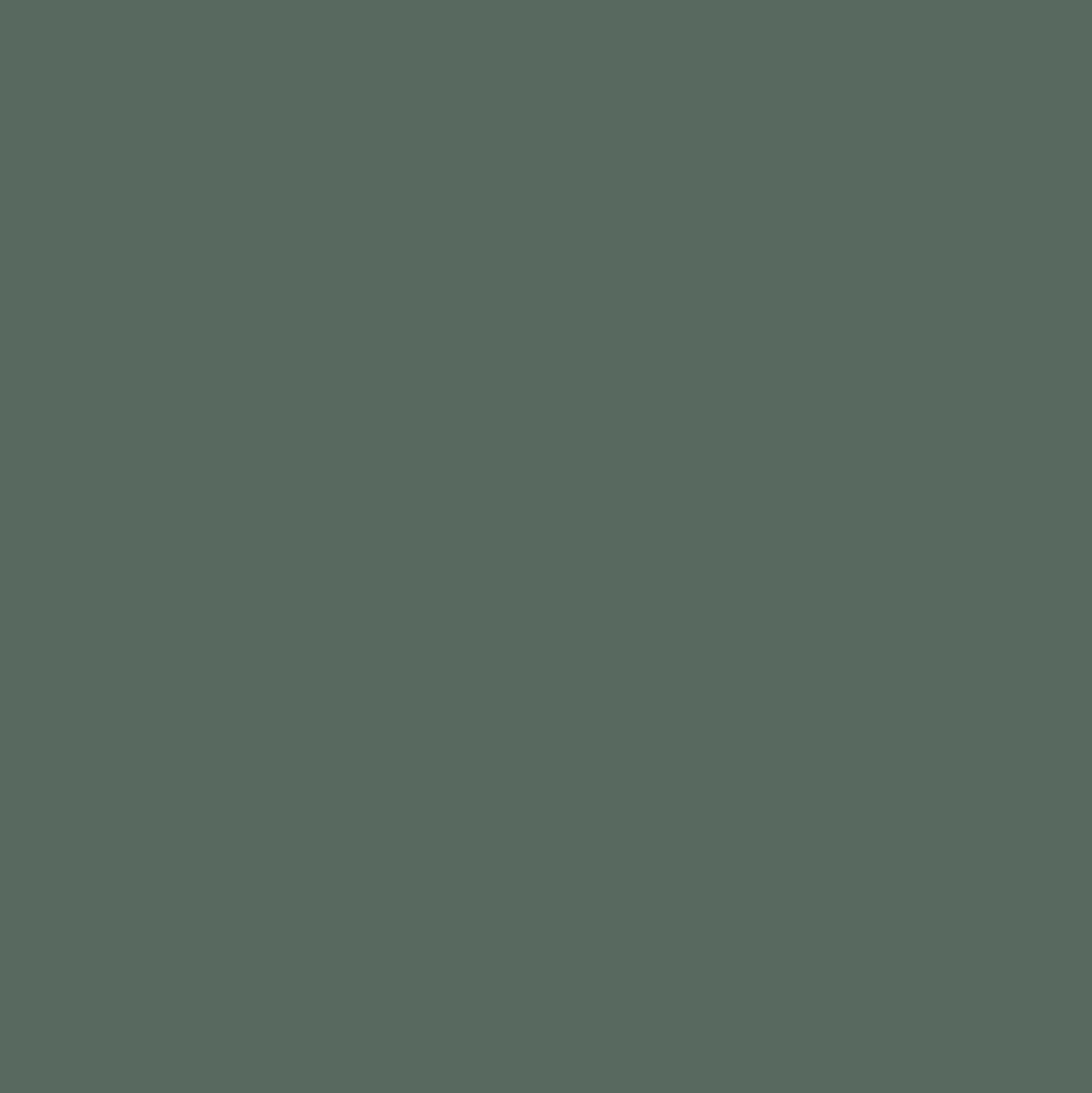 265 Central Court Wall Primer Flamant - Traumfarbe